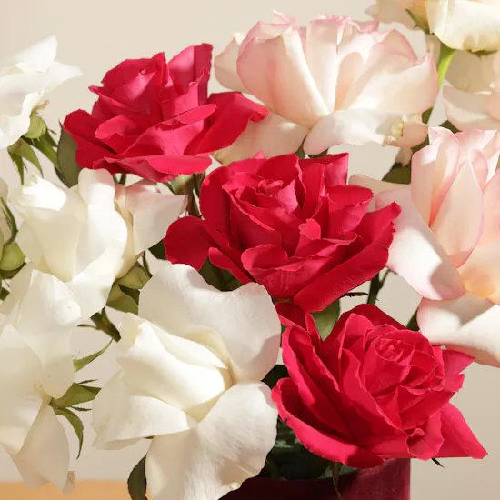 Empowered Elegance Gift Set | Omani Poise Flowers