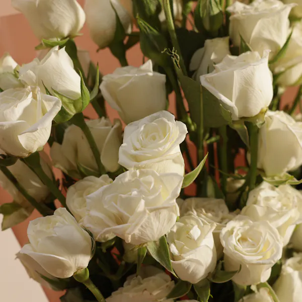 Buy and send Pure White Baby Rose Bouquet | 15 Roses gift Online in ...