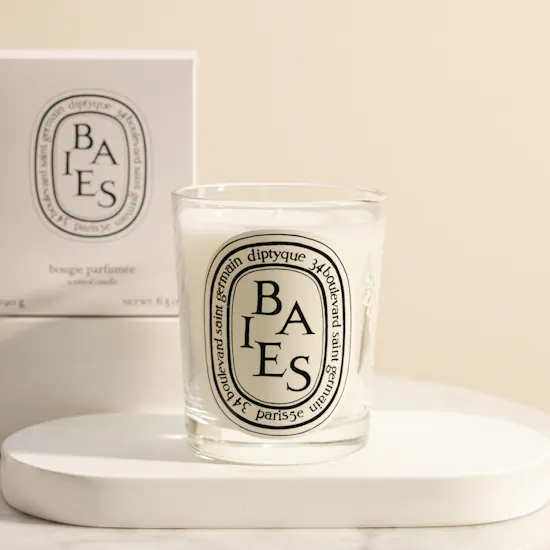 Diptyque Baies / Berries Classic Scented Candle