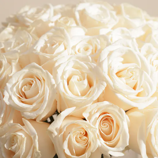 Vibrant White Roses Vase | 50 Roses