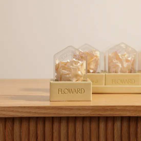 Preserved Satin Roses Favors Tray