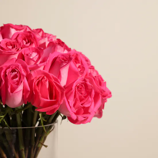 Fuchsia Brilliance Vase | 50 Flowers