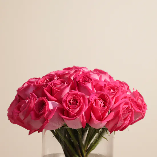 Fuchsia Charm Vase | 35 Roses