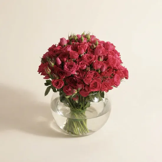 Delight Flowers Vase | 35 Flowers