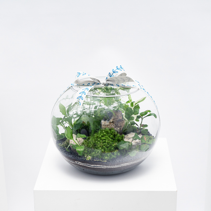 الحديقة الاستوائية الخضراء | تيراريوم مغلق