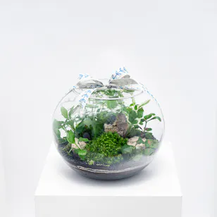 Little Lively Garden | Closed Terrarium Little Lively Garden | Closed Terrarium