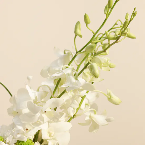 White Elegance Flowers Vase