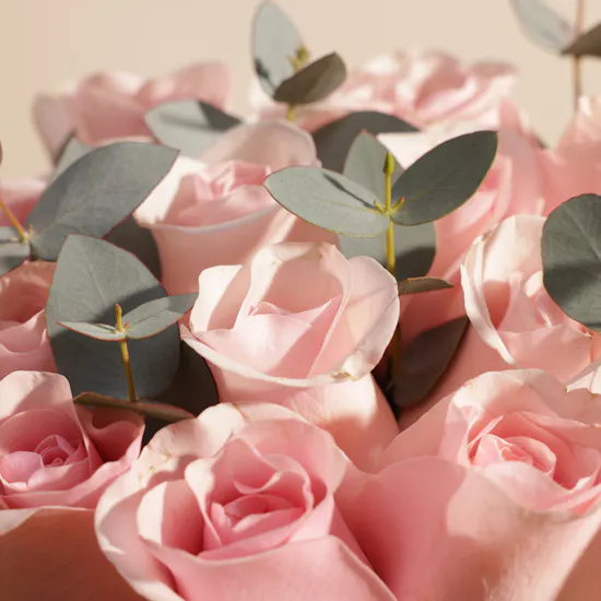 Levo Black Piano Chocolate Box | Tender Blush Flowers