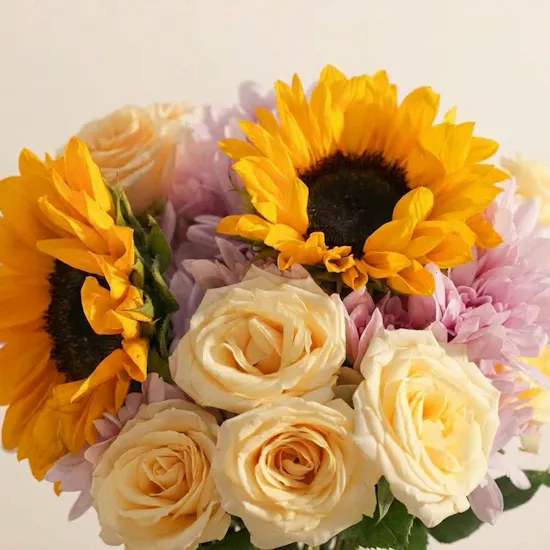 مزهريه روعة دوار الشمس