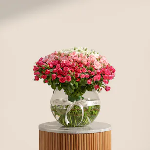 Velvet Radiance Baby Roses Vase | 75 Flowers