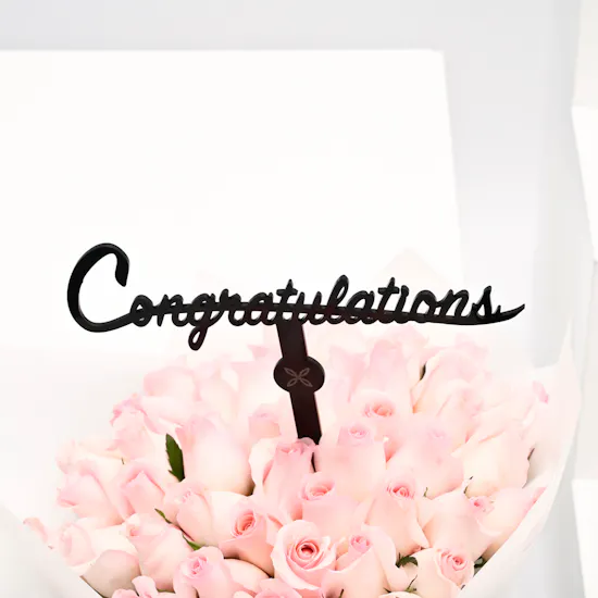 pink roses graduation collection