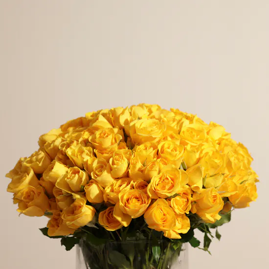 Yellow Baby Roses Vase | 50 Flowers