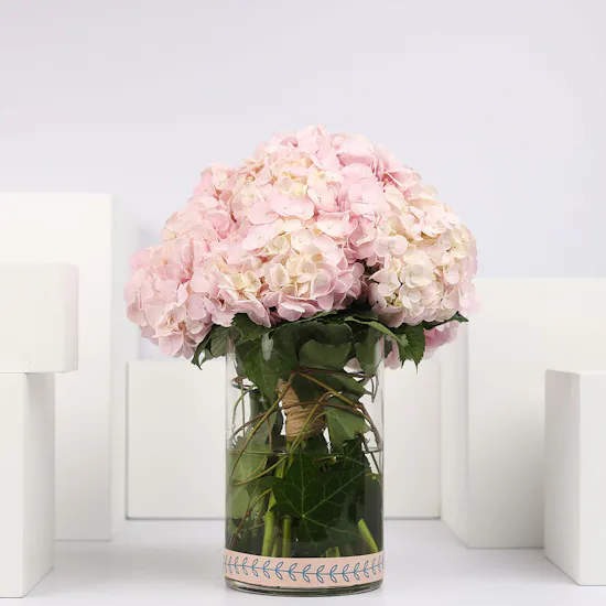 Pink Hydrangea Vase