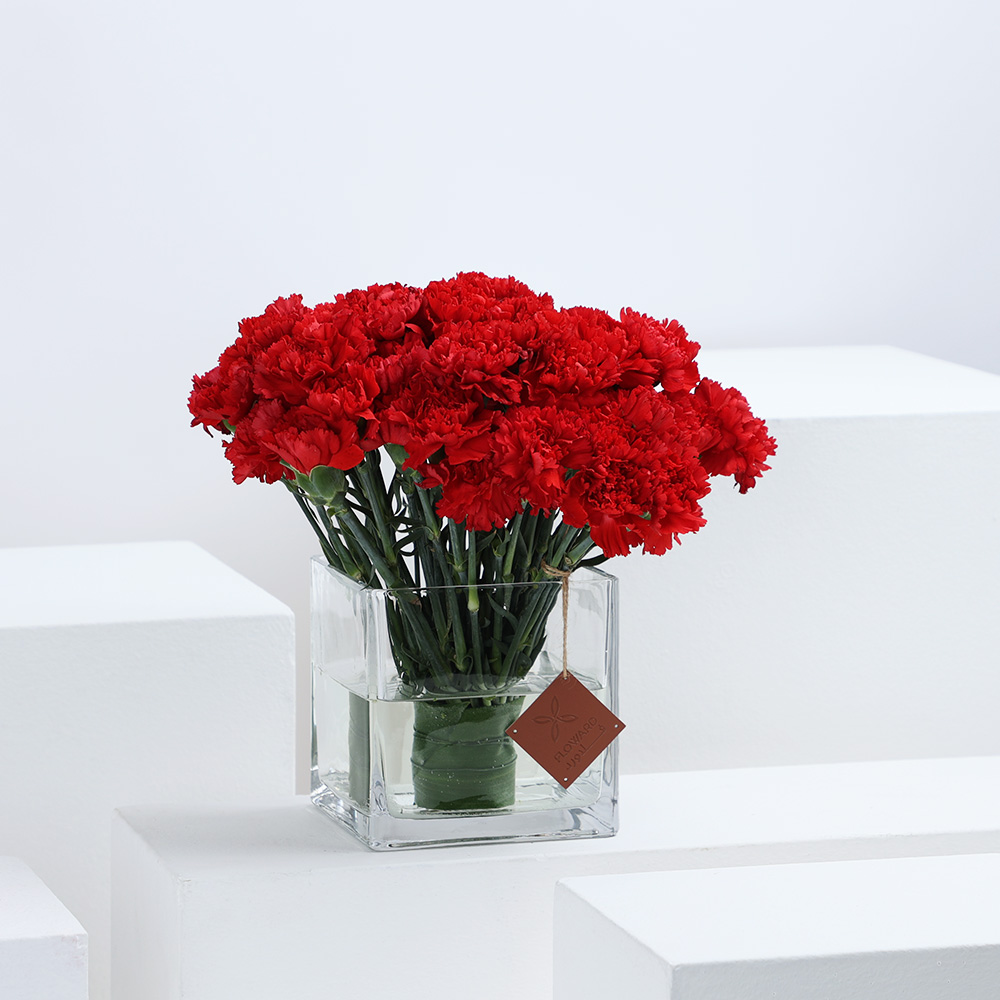 50 كارنيشن أحمر | فازة مربعة