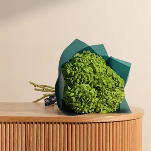 Enchanting Green Hydrangea Bouquet