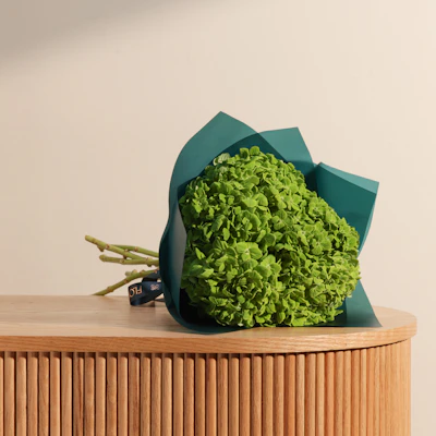 Enchanting Green Hydrangea Bouquet Enchanting Green Hydrangea Bouquet