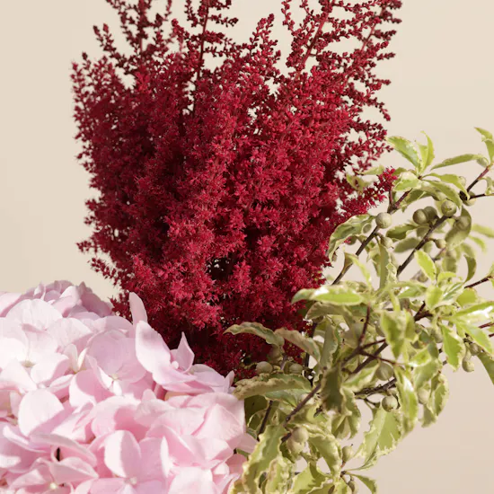 Hydrangea & Astilbe | Glass Vase
