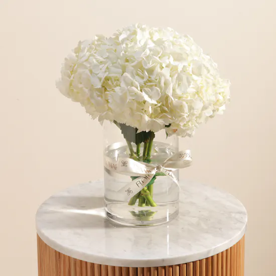 White Hydrangea Enchanting Vase