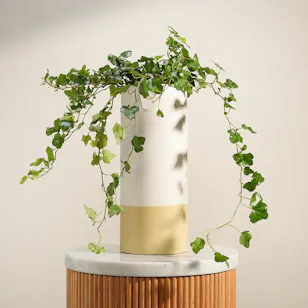 Emerald Hedera Plant Vase Emerald Hedera Plant Vase