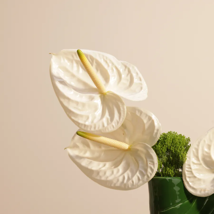 Enchanting Petals Display | Keramos Vase 4