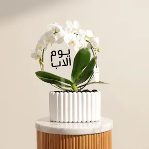 بنات فالاينوبسيس أبيض راقي على شكل حلقة ليوم الأب بنات فالاينوبسيس أبيض راقي على شكل حلقة ليوم الأب