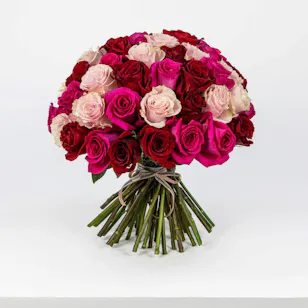 50 Red, Pink & Fuchsia Rose Bouquet 50 Red, Pink & Fuchsia Rose Bouquet