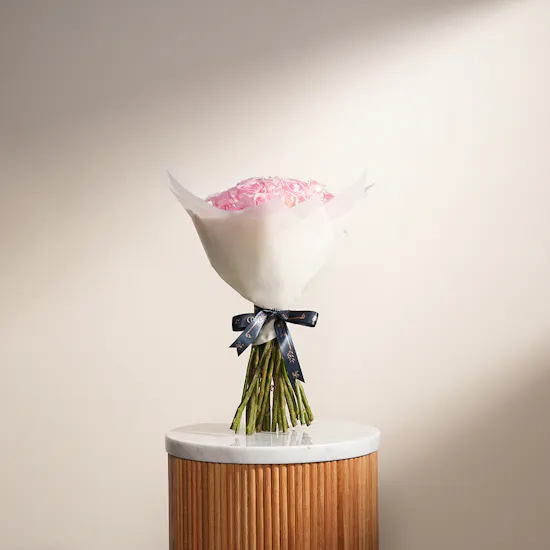 Light Pink Roses | Cream Wrap