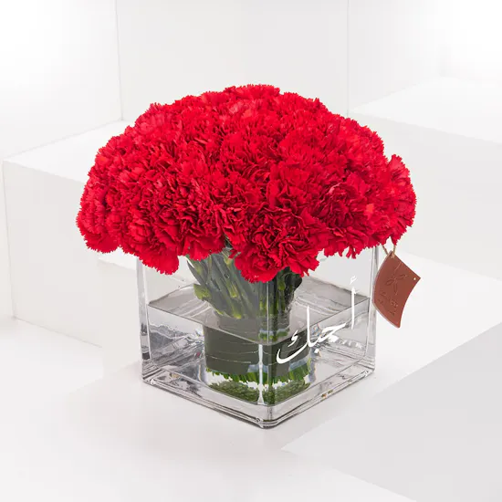 Ahebk Carnations | Square Vase