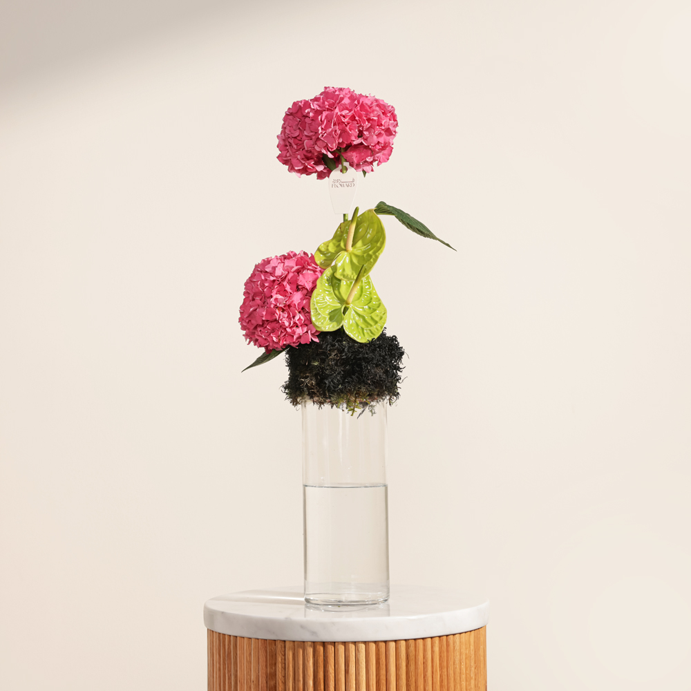 مزهرية هيدرانجيا انيقة 