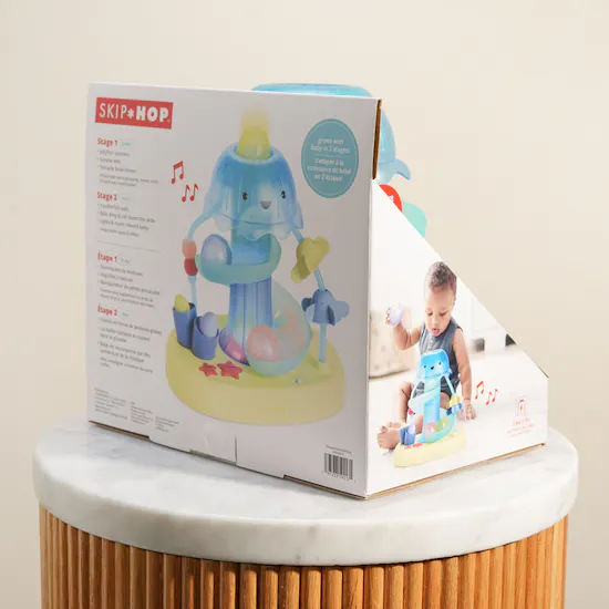 Skip Hop Seascape Musical Activity Ball Drop Toy