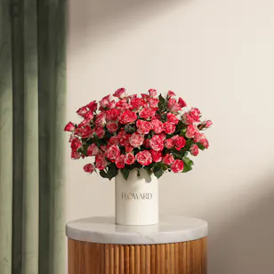 Radiance Firework Baby Roses Box | 25 Flowers