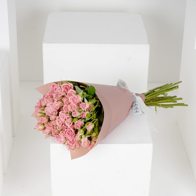 20 Pink Baby Roses V