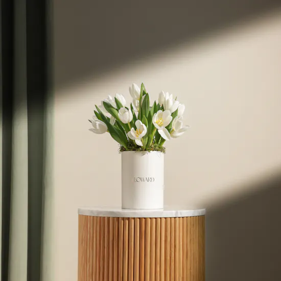 White Tulip Flowers Box