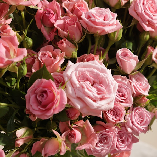 Pink Heart Roses Bouquet