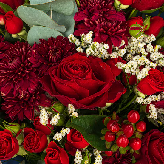 Business Administration | Red Roses