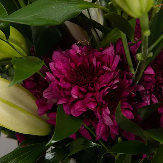Blooms Flowers | Glass Bowl