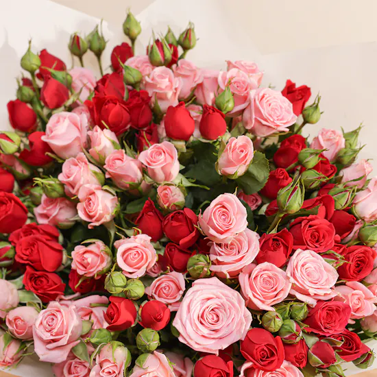 Heartfelt Baby Roses Bouquet