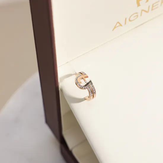Aigner Fashion Women's Earrings