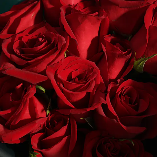 Almosafer 500 Points Gift Card | The Language of Love Roses Bouquet