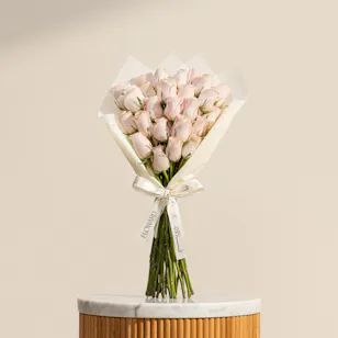 Tender Allure Pink Rose Bouquet | 25 Flowers Tender Allure Pink Rose Bouquet | 25 Flowers