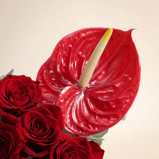 Scarlet Obsession Flower Vase