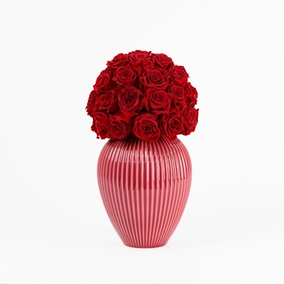 Preserved Roses Large | Knabstrup Vase