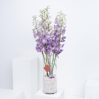 Purple Delphinium Vase