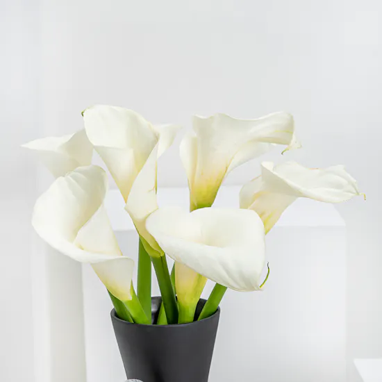 Chic Calla Vase