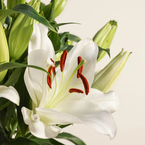 Forever White Lily Love Vase
