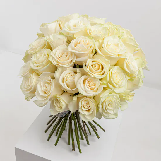 35 White Roses