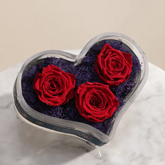 Imperial Love Red Preserved Roses Vase