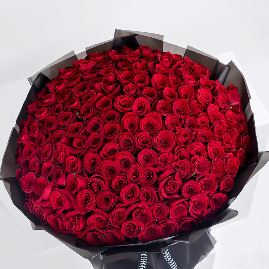 Red Roses Love  2