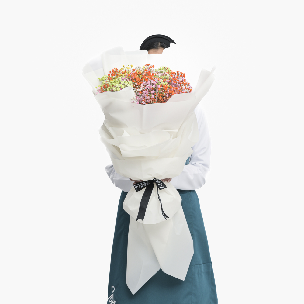 باقة الجيبسوفيلا الملونة