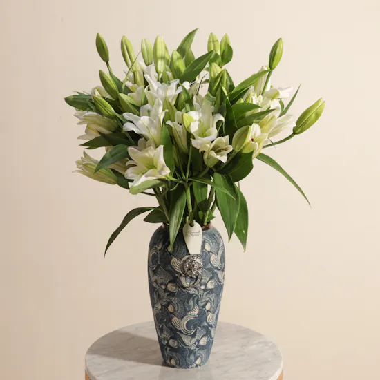 Majestic White Lilyum Vase